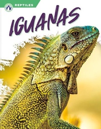 Enlarge image Cover: Iguanas - Apex