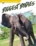 Cover: Biggest Bodies - Apex