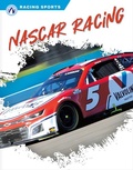 Cover: NASCAR Racing - Apex