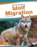 Cover: Wolf Migration - Focus Readers