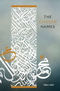 Enlarge image Cover: The Chosen Names - Sun Behind The Cloud Publications Ltd