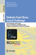 Cover: Diabetic Foot Ulcers Grand Challenge - Springer