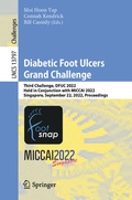 Cover: Diabetic Foot Ulcers Grand Challenge - Springer