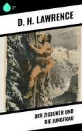 Cover: Der Zigeuner und die Jungfrau - Sharp Ink