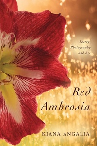 Abbildung von: Red Ambrosia - Zerzura Studios