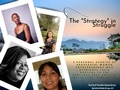 Cover: The "Strategy" in Struggle (Part II of Mini-Ebook Series, #2) - Part II of Mini-Ebook Series