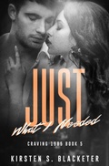 Cover: Just What I Needed (Craving 1985, #5) - Kirsten S. Blacketer