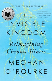 Enlarge image Cover: The Invisible Kingdom - Riverhead Books,U.S.