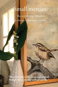 Enlarge image Cover: Small mercies - IngramSpark