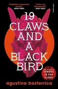 Cover: Nineteen Claws and a Black Bird - Pushkin Press
