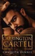 Cover: Torn: A Forbidden Age Gap Dark Mafia Romance (The Carrington Cartel, #1) - 304 Publishing Company