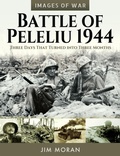 Bild: Battle of Peleliu, 1944 - Frontline Books
