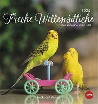 Bild vergrößern Bild: Freche Wellensittiche Postkartenkalender 2024 von Monika Wegler. Die bunten Vögel in einem kleinen Kalender zum Aufstellen und Aufhängen. Perforierter Postkarten-Fotokalender. - Heye