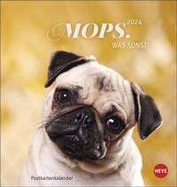 Abbildung von: Mops Postkartenkalender 2024. Die kleinen Hunde in einem Postkarten-Fotokalender porträtiert. Kleiner Kalender zum Aufstellen oder Aufhängen für Hundefreunde. - Heye