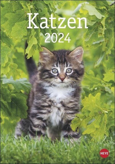 Abbildung von: Katzen Kalender 2024 - Heye