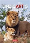 Cover: EinzigARTig Wochen-Kulturkalender 2024. 53 bedrohte Tierarten. Eindrucksvoller Fotokalender als Wand-Wochenplaner. Mit Infos zu Lebensweise & Artenschutz - Harenberg