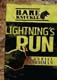 Enlarge image Cover: Lightning's Run - Lerner Publishing Group