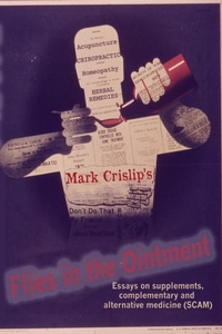 Abbildung von: Flies in the Ointment - Bitingduck Press