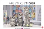 Bild: Whiskas Katzenkalender 2024. Foto-Wandkalender mit süßen Katzen und lustigen Geschichten. Wandkalender 2024 in schönem Design. Bildkalender 2024. Querformat 45 x 30 cm. - Heye