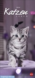 Bild: Whiskas Katzenleben Kalender 2024. Süße Kätzchen in allen Lebenslagen in einem Wandkalender 2024 zum Eintragen. Immer den Überblick über alle Termine mit dem praktischen Streifenkalender. - Heye