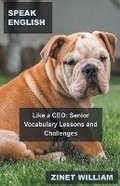 Cover: Speak English Like a CEO - Mabel Tilson