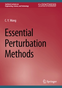 Abbildung von: Essential Perturbation Methods - Springer