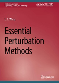 Enlarge image Cover: Essential Perturbation Methods - Springer