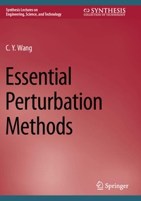 Enlarge image Cover: Essential Perturbation Methods - Springer