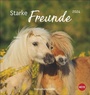 Cover: Pferde - Starke Freunde Postkartenkalender 2024. Pferdefotografin Sabine Stuewer setzt die edlen Tiere in einem kleinen Kalender perfekt in Szene. Hochwertiger Postkarten-Fotokalender. - Heye