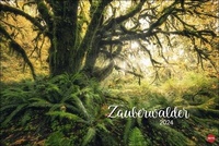 Bild vergrößern Bild: Zauberwälder Edition Kalender 2024. Wandkalender XL mit Fotos verwunschener Wälder und Lichtungen. Kalender-Großformat mit hochwertigen und geheimnisvollen Fotos. - Heye