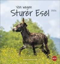 Abbildung von: Esel - Von wegen sturer Esel Postkartenkalender 2024. Kleiner Kalender zum Aufstellen und Aufhängen im Postkartenformat. Monats-Tischkalender für Tierfreunde. - Heye