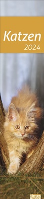 Bild vergrößern Bild: Katzen Langplaner 2024. Immer alle Termine im Blick mit dem Streifen-Kalender für Büro und Zuhause. Süße Katzenfotos in einem praktischen Terminplaner. - Heye