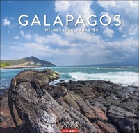 Abbildung von: Galapagos Kalender 2024. Atemberaubende Fotos der Galapagosinseln und ihrer Wildtiere in einem Wandkalender 2024 Großformat. 48 x 46 cm - Weingarten