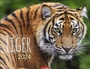 Cover: Tiger Kalender 2024. Die majestätischen Großkatzen in einem großen Wand-Kalender. Hochwertiger Fotokalender mit Porträts der verschiedenen Tigerarten. 44x34 cm Querformat - Weingarten