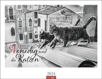 Abbildung von: Venedig und die Katzen Kalender 2024. Samtpfoten in der Lagunenstadt, eingefangen in einem großen Wandkalender in schwarz-weiß. Hochwertiger Fotokalender im Großformat für Katzenliebhaber. - Weingarten