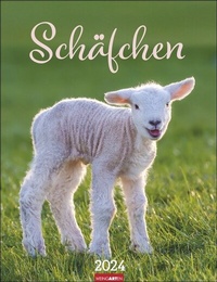 Abbildung von: Schäfchen Kalender 2024. Süßer Fotokalender im Großformat. Flauschige Schäfchen in einem Posterkalender voll ländlicher Idylle. Foto-Wandplaner mit Platz für Termine 2024. 30x39 cm - Weingarten