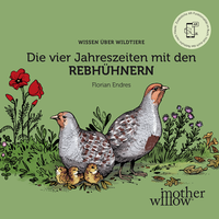 Abbildung von: Die vier Jahreszeiten mit den Rebhühnern - mother willow®