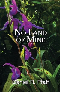 Abbildung von: No Land of Mine - Daniel R. Pfaff