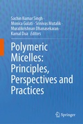 Cover: Polymeric Micelles: Principles, Perspectives and Practices - Springer