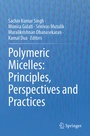 Cover: Polymeric Micelles: Principles, Perspectives and Practices - Springer