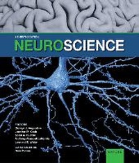 Abbildung von: Neuroscience - Oxford University Press Inc