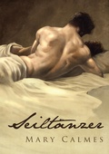 Cover: Seilt&auml;nzer - Dreamspinner Press