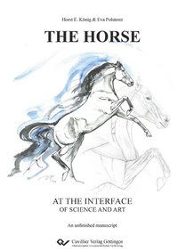 Abbildung von: THE HORSE at the interface of science and art - Cuvillier Verlag