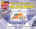 Cover: What Makes a Blizzard? - HarperCollins