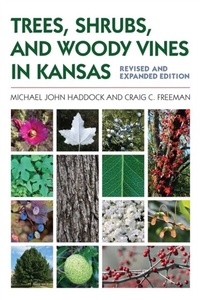 Abbildung von: Trees, Shrubs, and Woody Vines in Kansas - University Press of Kansas