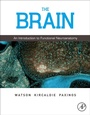 Cover: The Brain - Academic Press