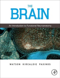 Enlarge image Cover: The Brain - Academic Press