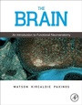 Cover: The Brain - Academic Press