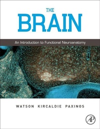 Enlarge image Cover: The Brain - Academic Press