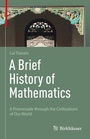 Cover: A Brief History of Mathematics - Birkh&auml;user